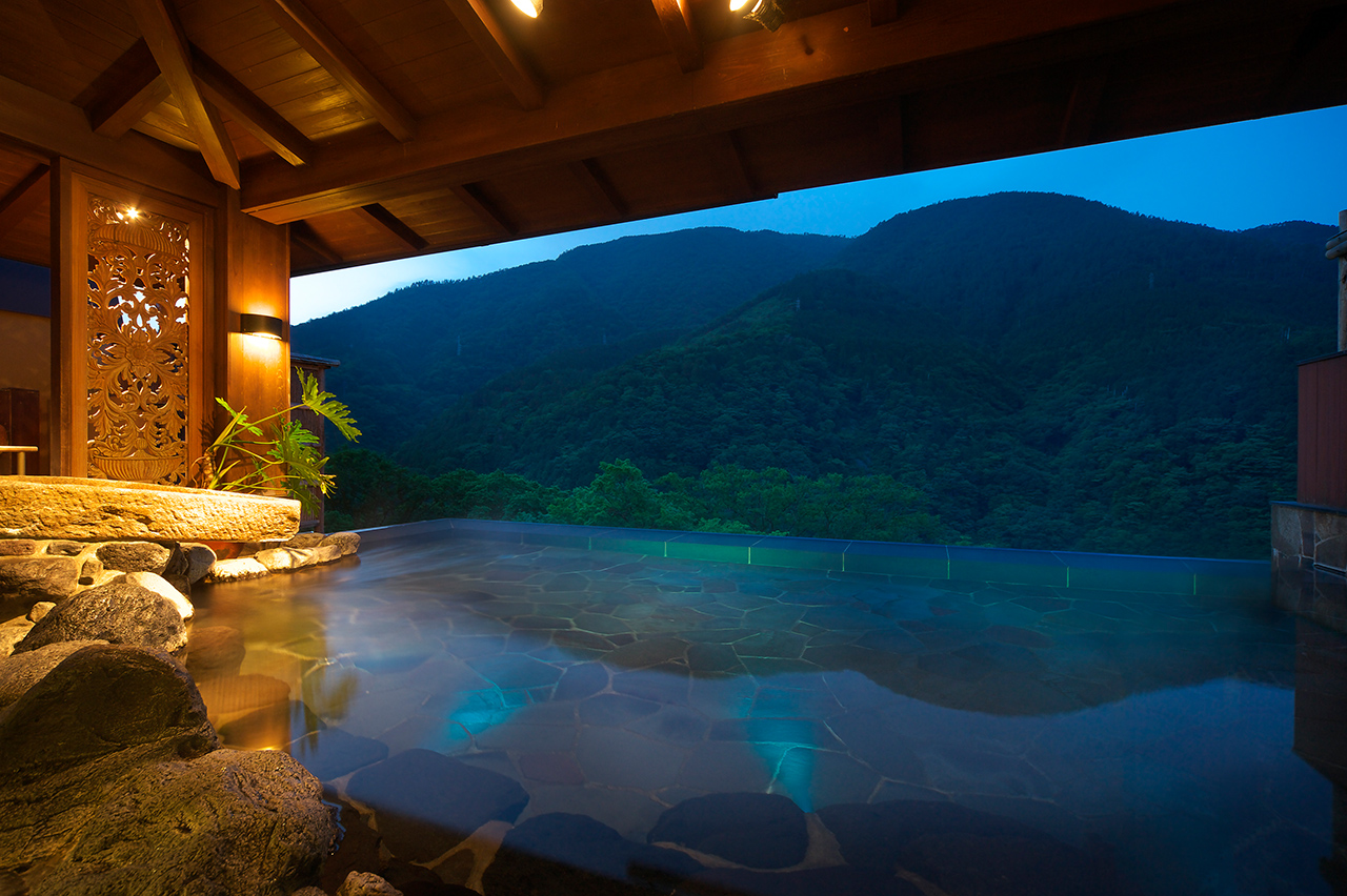 Hakone Ginyu Ryokan Experts, Reviews, Personalized Service Japanese